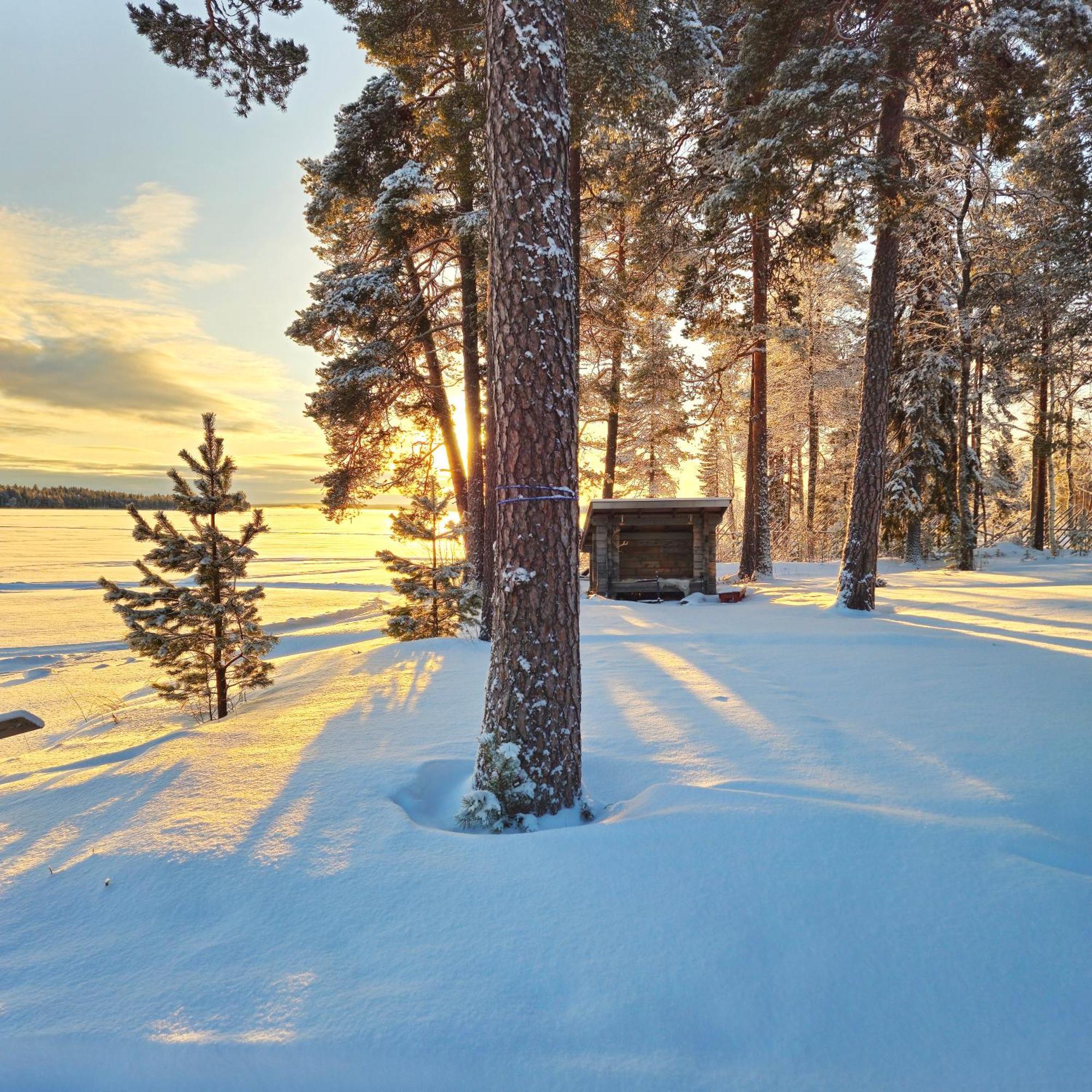 Chalet Norva Rovaniemi Esterno foto